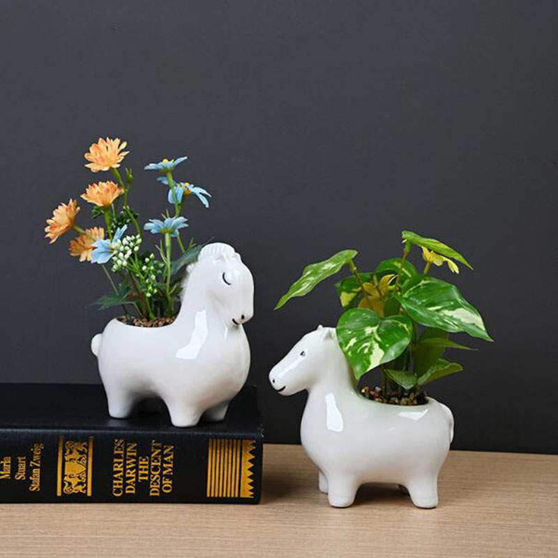 Bonsai Garden Art - Vaso Creativo in Porcellana Bianca a