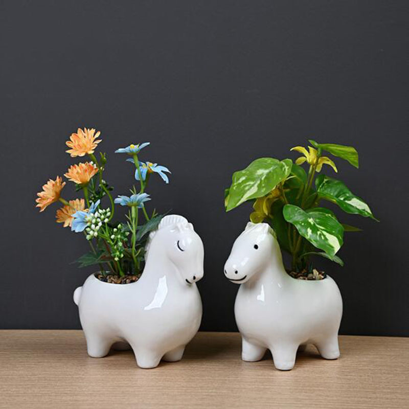 Vaso Creativo in Porcellana Bi - Bonsai Garden Art recensione e prezzo